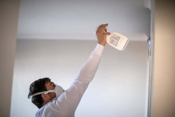 Best Commercial Mold Removal  in Lewiston, ID