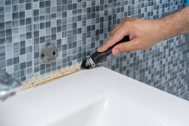 Best Best Mold Removal Companies  in Lewiston, ID